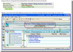CAPTURE_Version_2.2_tailoring_headings