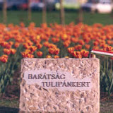 Dedication - Budapest, Hungary