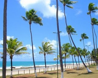 [porto de galinhas2[4].jpg]