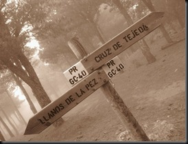 cruce