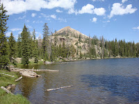 DSC00495.JPG Photo