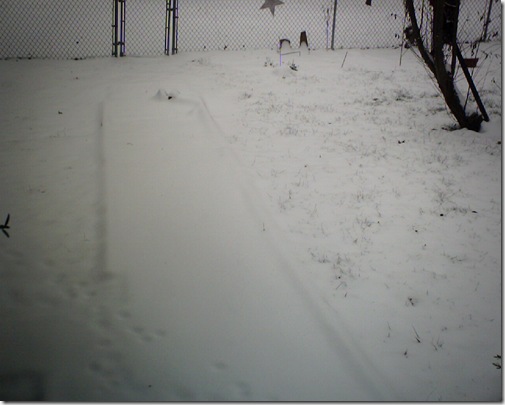 snow