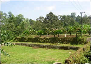 DSCN0673