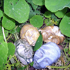  Earth (Gallery)
