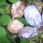  Earth (Gallery)