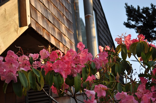 [DSC_01262.jpg]