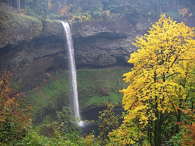 [IMG_36472.jpg]