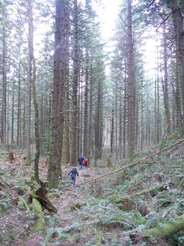 [DSCN23283.jpg]