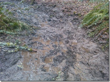 FP Muddy Trail March 11