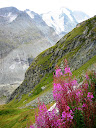 Gross Glockner