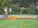 Sprzedawca melonów