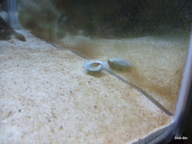 DSCF7752.JPG