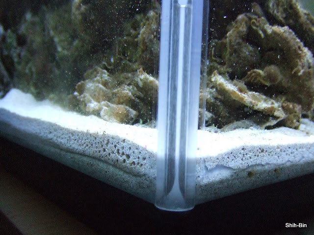 DSCF7873.JPG