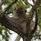 DSC_1799.JPG