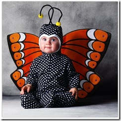 bebe borboleta