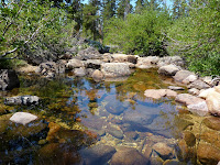 P1000560.JPG (Upper Forni, California, United States) Photo