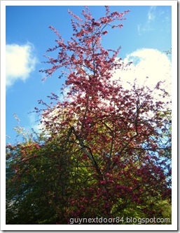 IMG_0022 IMG_0022