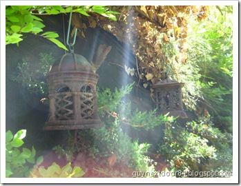 IMG_0795 IMG_0795