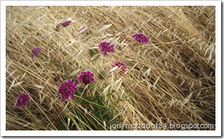 IMG_0882 IMG_0882