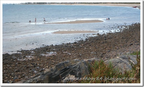 IMG_1105 IMG_1105