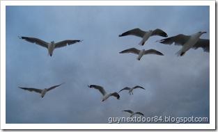IMG_1134 IMG_1134