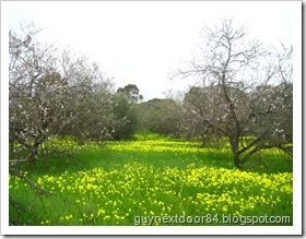 IMG_8204 IMG_8204