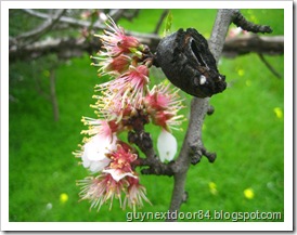 IMG_8212 IMG_8212