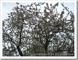 IMG_8226 IMG_8226