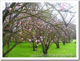 IMG_8246 IMG_8246