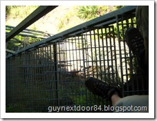 IMG_2212 IMG_2212