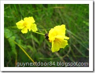 IMG_2293 IMG_2293