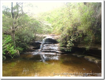 IMG_2338 IMG_2338