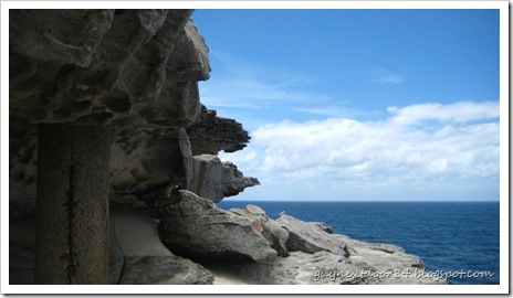 IMG_3461 IMG_3461