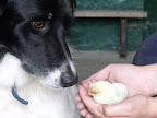 DSCF2074.JPG