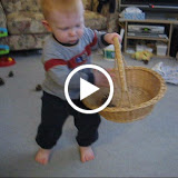 acorn videos