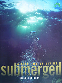 Submerged