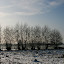  &ndash; Maisland in de sneeuw
