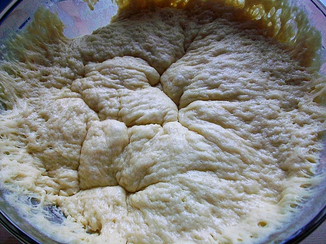 [poofy risen dough[5].jpg]