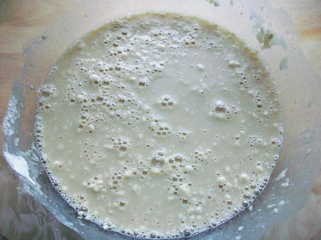 [yeast mixed[5].jpg]