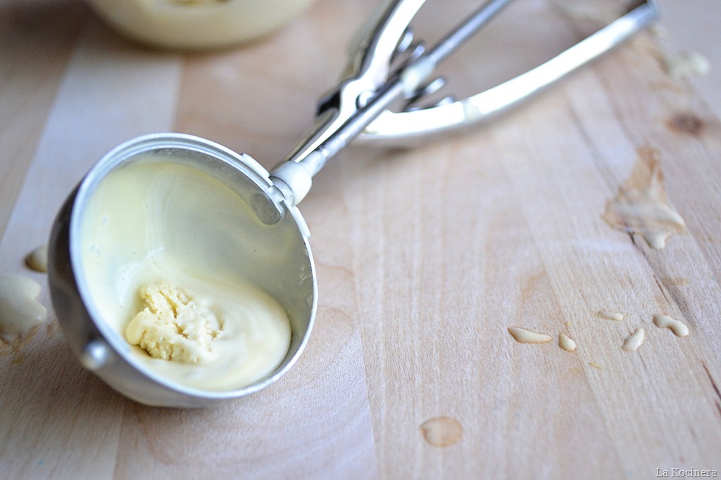 [ice cream scoop[5].jpg]