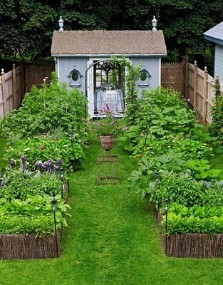 [garden vegie patch[2].jpg]