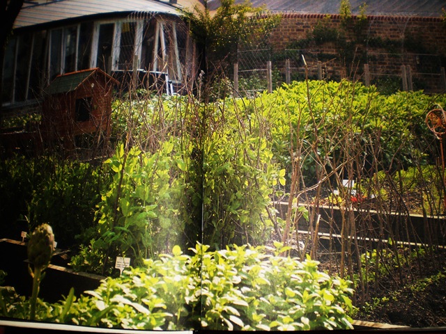 [jamie olivers garden from Jamie At Home 003[2].jpg]