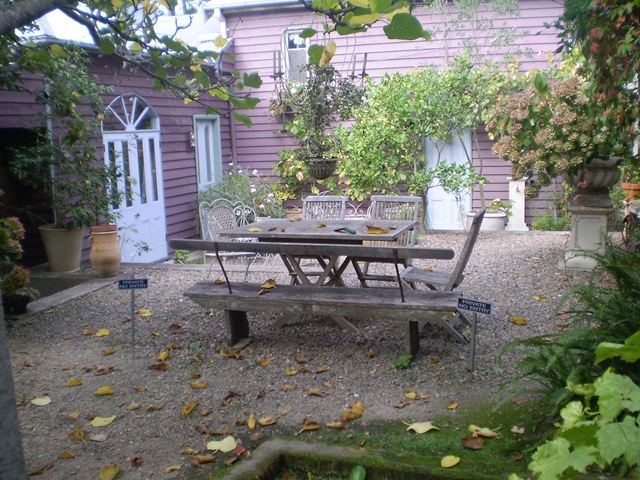 [VisitGrandmaMay20090484.jpg]