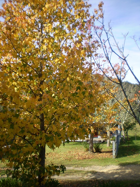 [May 2010 128[10].jpg]