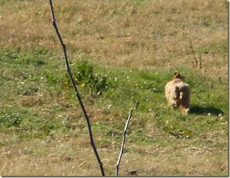 july 3 2010 010