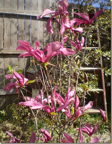 september 2010 007