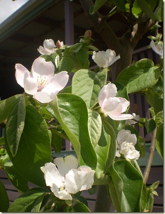 september 2010 008