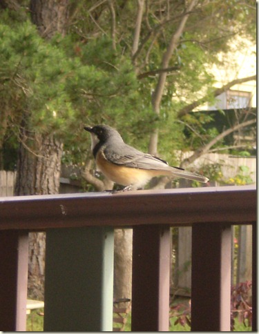 october 2010 057