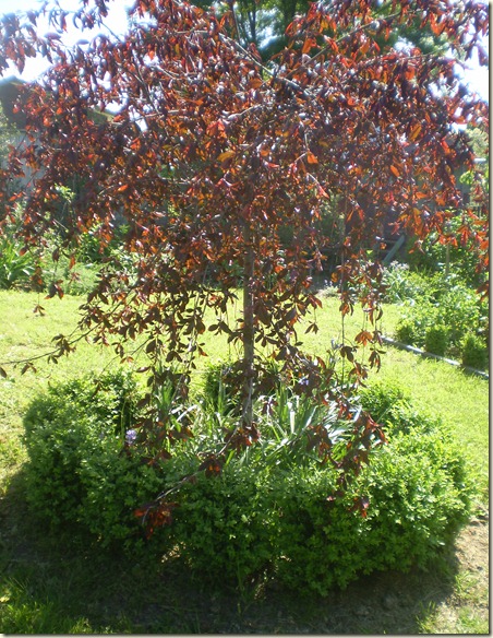 october 2010 047