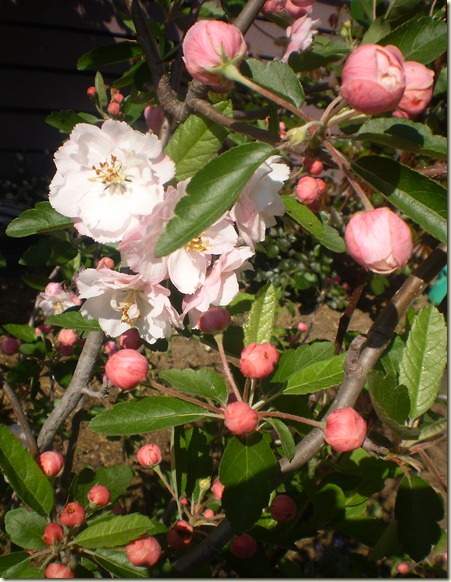 october 2010 030